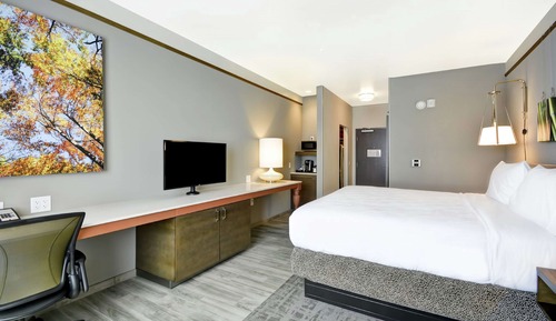 Room, 1 King Bed, Accessible, Bathtub