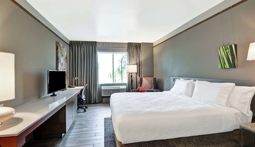 Room, 1 King Bed