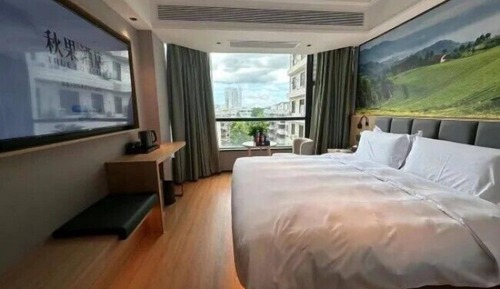 Comfort Single Room, Garden View