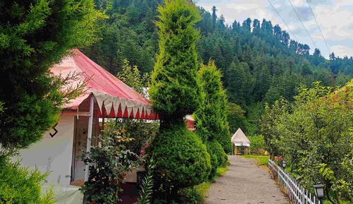 Deluxe Tent, Garden View