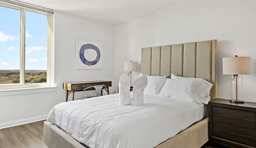 Luxury Apartment, 2 Bedrooms, Pets Allowed, City View