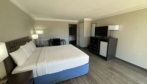 Room, 1 King Bed, Non Smoking