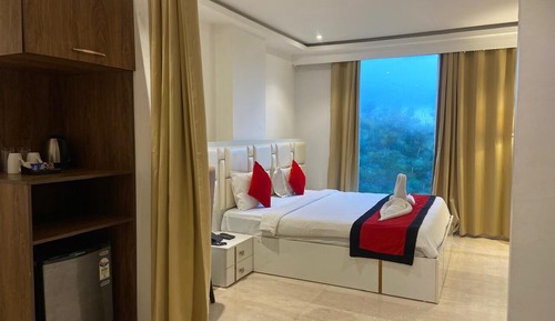 Basic Suite
