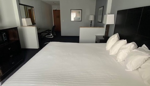 Basic Single Room, 1 King Bed, Garden View