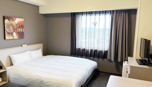 Double Room, Non Smoking