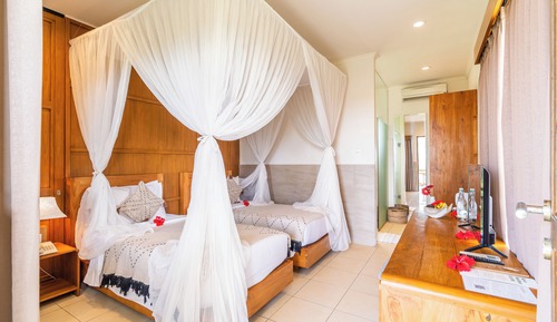Deluxe Double or Twin Room