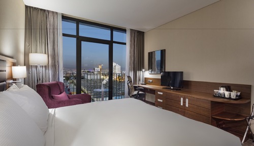 Room, 1 King Bed