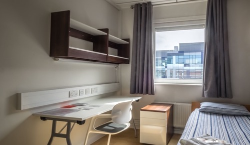 Standard Single Room, 1 Twin Bed, Shared Bathroom