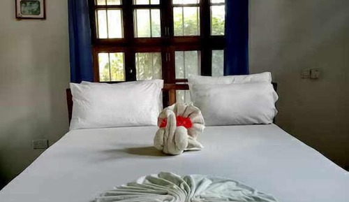 Room, Garden View