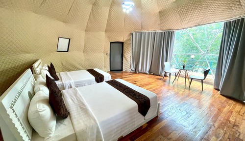 Luxury Twin Room