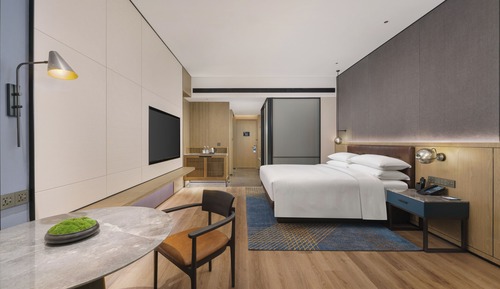 Room, 1 King Bed, City View