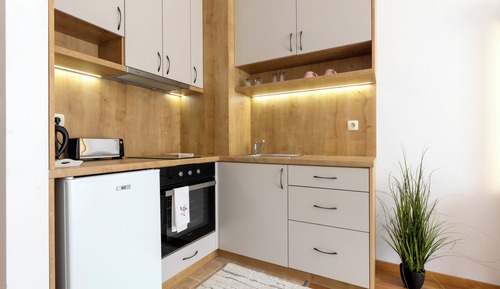 Classic Studio, Kitchenette, Mountain View