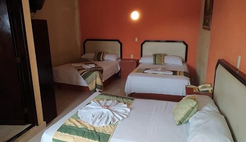 Family Double or Twin Room