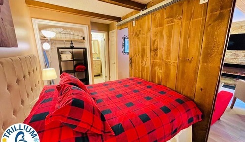 Apartment, 1 Queen Bed with Sofa bed, Non Smoking, Pets Not Allowed