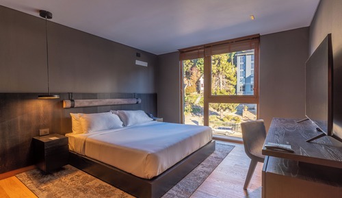 Room, 1 King Bed, Accessible, Non Smoking