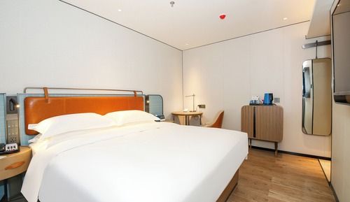 Comfort Single Room