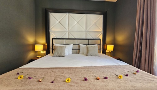 Superior Room, Mountain View