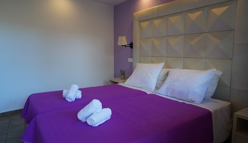 Standard Double or Twin Room