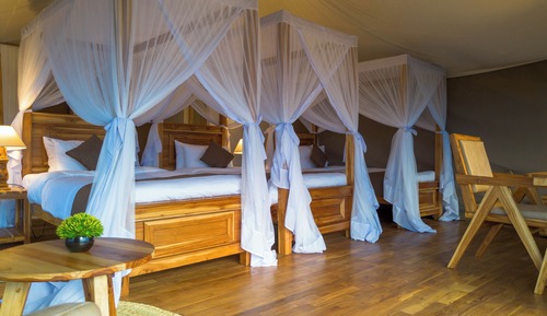 Deluxe Triple Room, Park View
