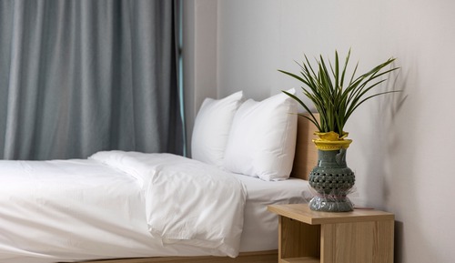 Standard Double or Twin Room, Mountain View