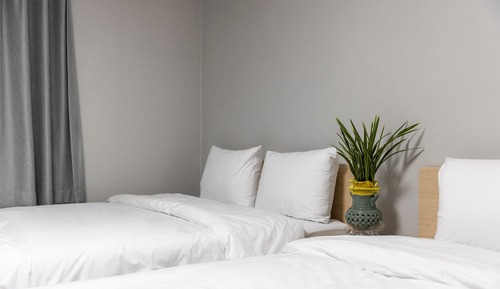 Deluxe Twin Room, 2 Double Beds