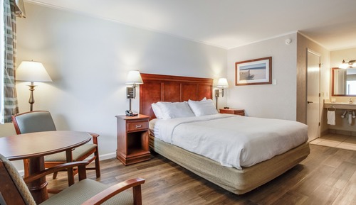 Deluxe Single Room, 1 King Bed, Accessible Bathtub, Non Smoking