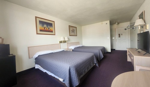Standard Single Room, City View