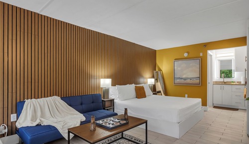 Comfort Apartment, 1 King Bed with Sofa bed