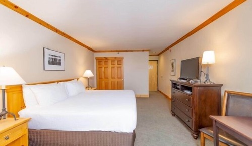 Economy Room, 1 King Bed (Selkirk)