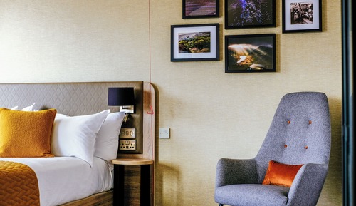 Queen Accessible Room