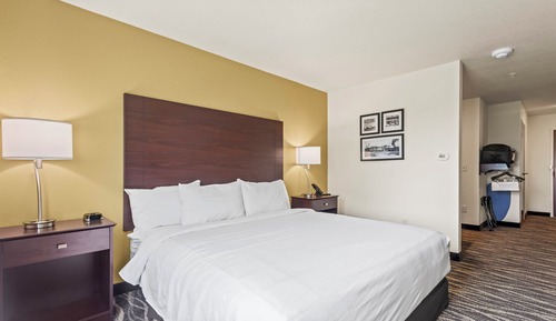 Studio, 1 King Bed with Sofa bed, Mobility Accessible, Non Smoking (Single King)