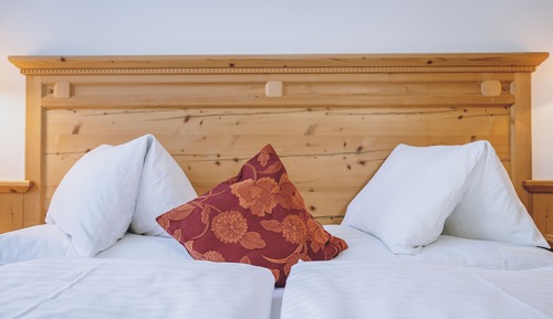 Basic Double Room, Balcony, Mountain View