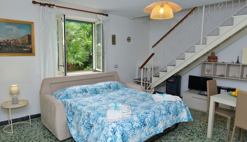 Traditional Studio, Patio, Garden View
