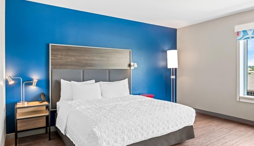 Room, 1 King Bed, Accessible, Bathtub (Roll-In Shower)