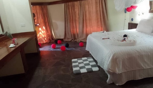 Comfort Single Room