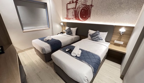 Deluxe Double or Twin Room, City View