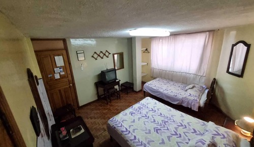 Basic Twin Room