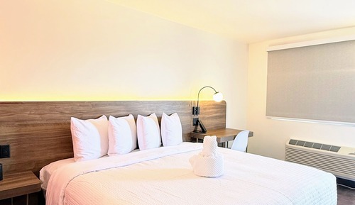 Executive Suite, 1 King Bed