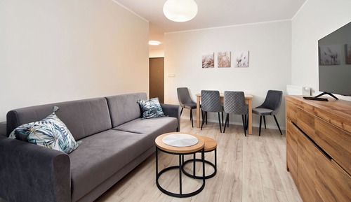 Comfort Apartment