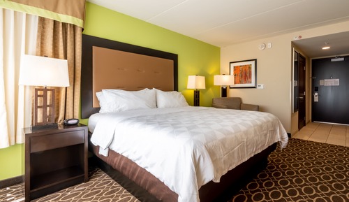 Standard Room, 1 King Bed, Mobility Accessible (Communications)