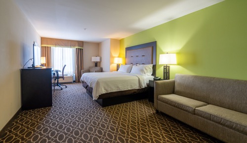 Premium Room, 1 King Bed with Sofa bed