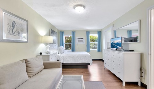Studio, 1 Queen Bed with Sofa bed