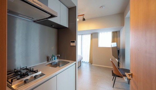 Basic Apartment, Non Smoking (e01)
