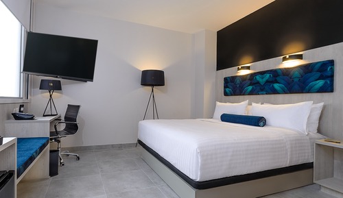 Room, 1 King Bed, Accessible
