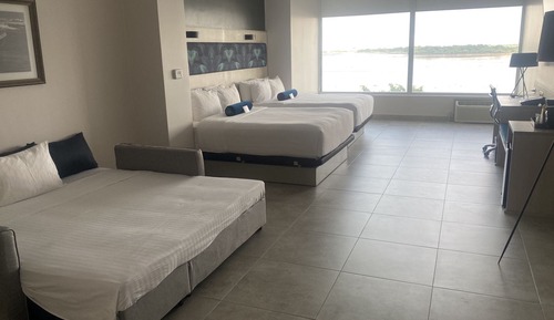 Family Room, 1 King Bed with Sofa bed
