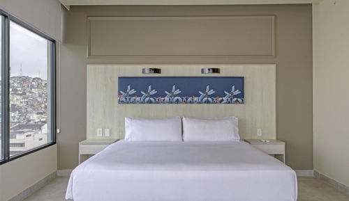 Room, 1 King Bed (Guayaquil View)