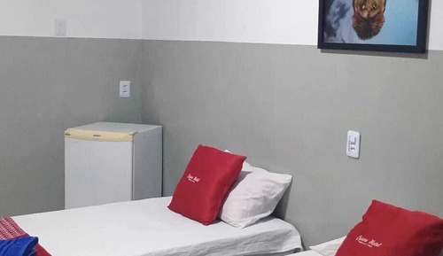 Basic Twin Room
