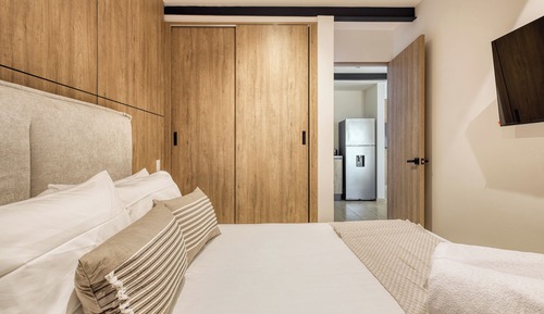 Deluxe Apartment, City View