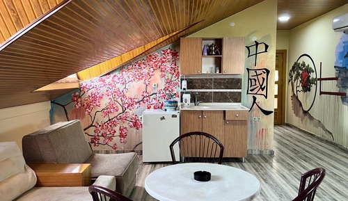 Basic Room, Kitchen, City View