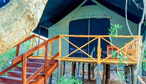 Deluxe Tent